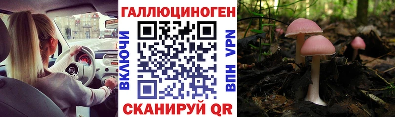 Псилоцибиновые грибы Psilocybine cubensis  купить  сайты  Всеволожск 
